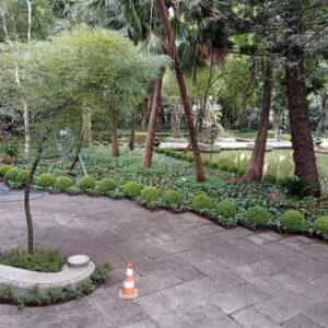 WhatsApp Image 2026-01-26 at 09.01.36 (2)